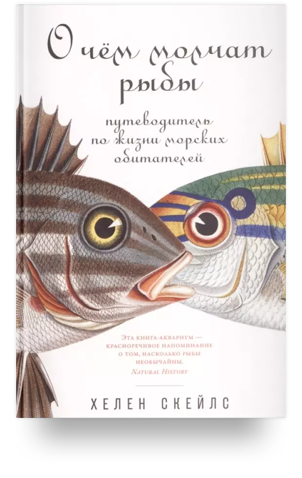 О чём молчат рыбы: Путеводитель по жизни морских обитателей