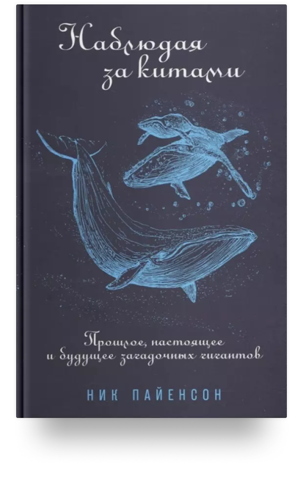 Наблюдая за китами. Прошлое, настоящее и будущее загадочных гигантов