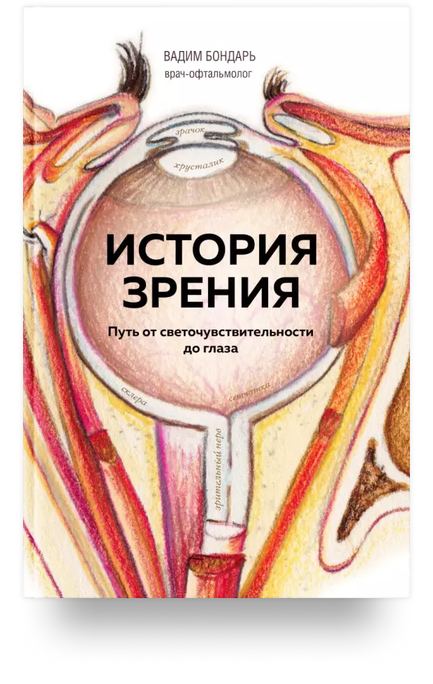 1. История зрения: путь от светочувствительности до глаза