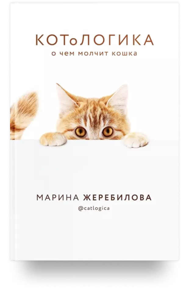 КОТоЛОГИКА. О чём молчит кошка