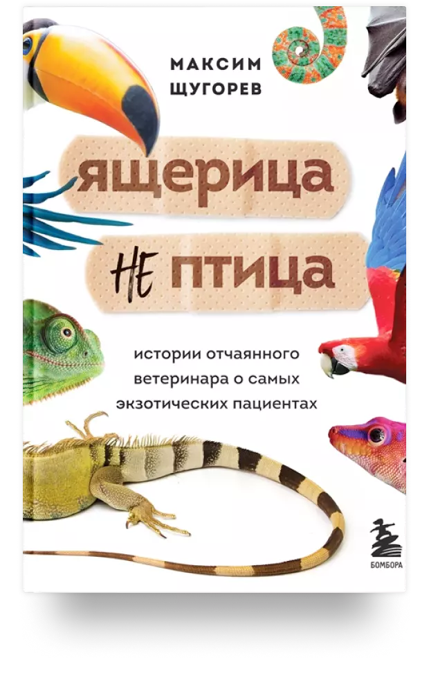 Ящерица не птица. Истории отчаянного ветеринара о самых экзотических пациентах