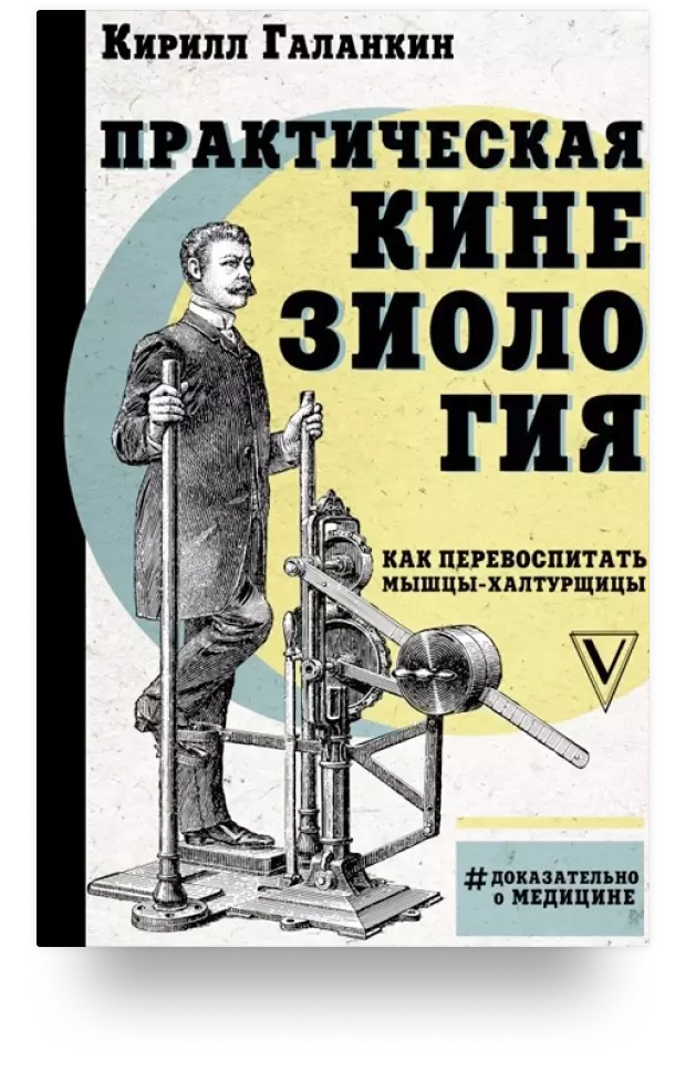 Практическая кинезиология. Как перевоспитать мышцы-халтурщицы