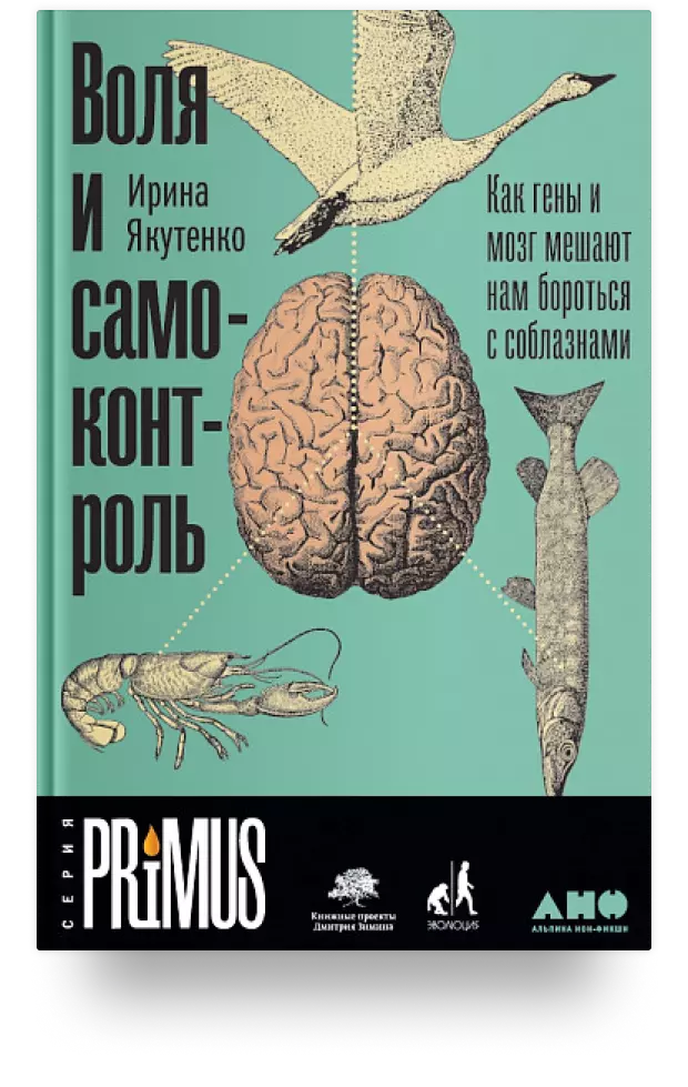 Воля и самоконтроль. Как гены и мозг мешают нам бороться с соблазнами