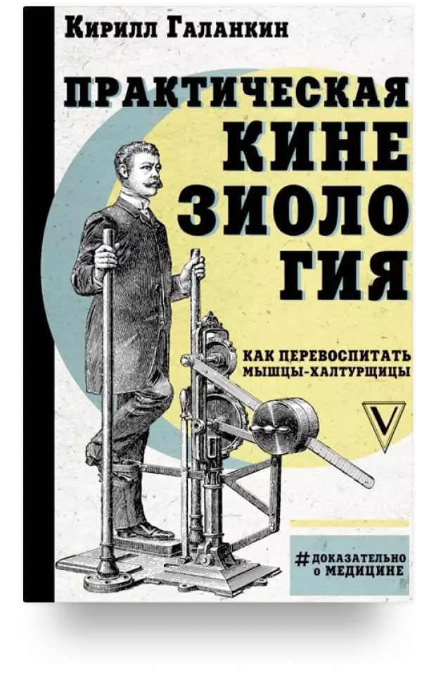 5. Практическая кинезиология. Как перевоспитать мышцы-халтурщицы