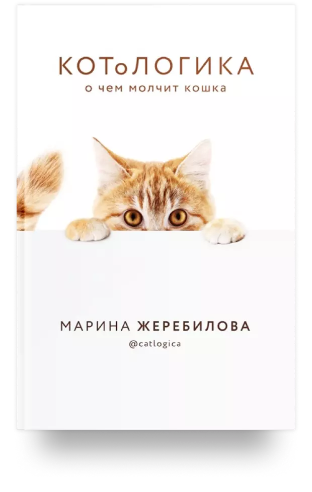 Без кота и жизнь не та: научные причины, почему в доме должен быть кот