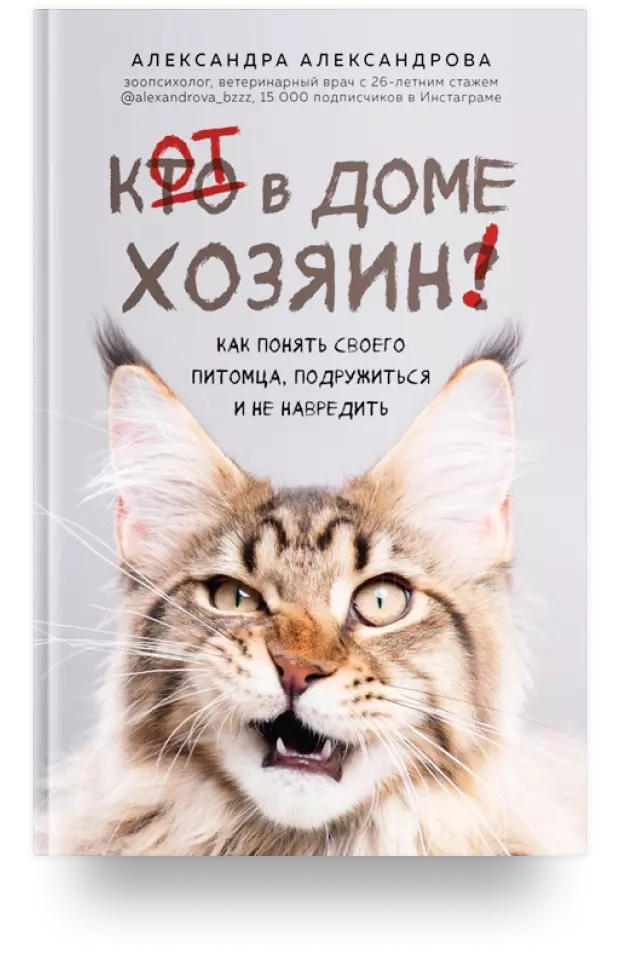 2. Кот в доме хозяин! Как понять своего питомца, подружиться и не навредить