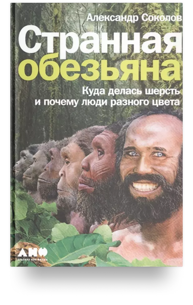 Странная обезьяна: Куда делась шерсть и почему люди разного цвета