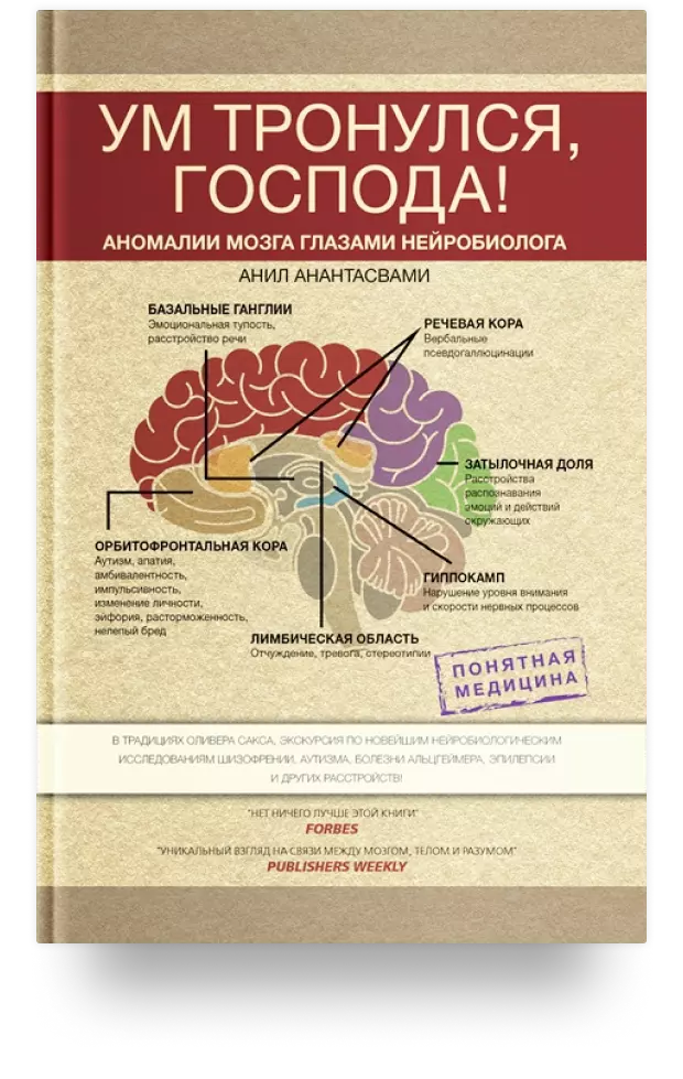 Ум тронулся, господа! Аномалии мозга глазами нейробиолога