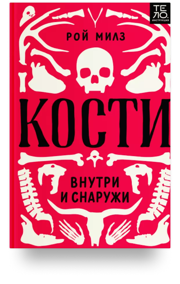 Кости: внутри и снаружи