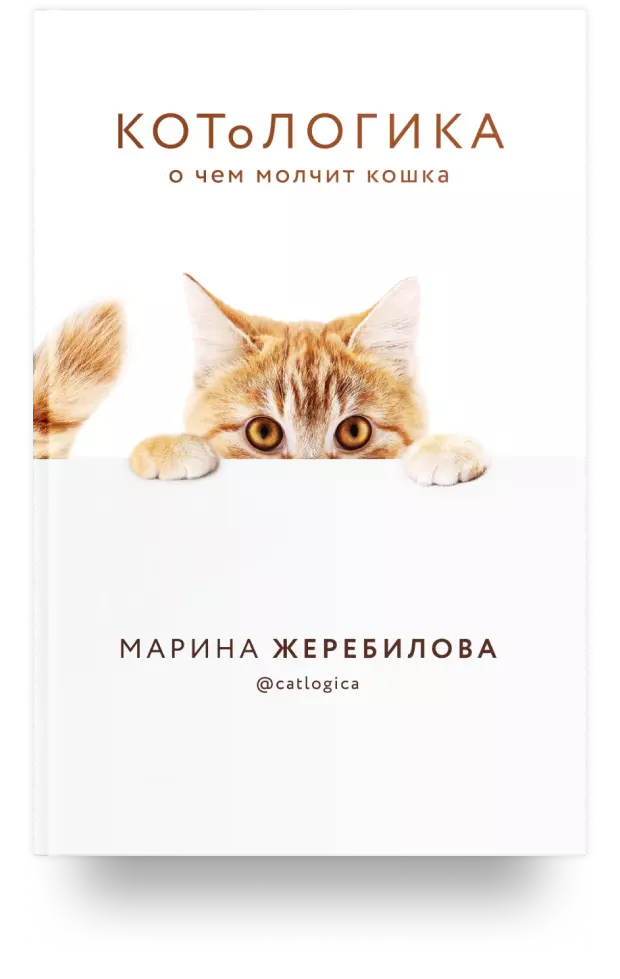 КОТоЛОГИКА. О чём молчит кошка