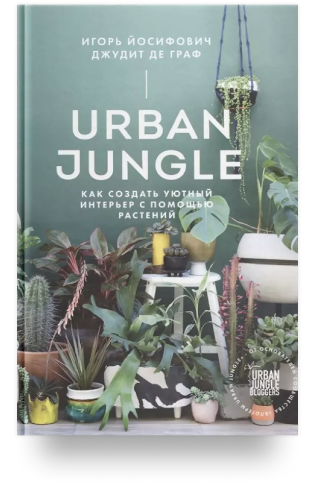 Urban Jungle