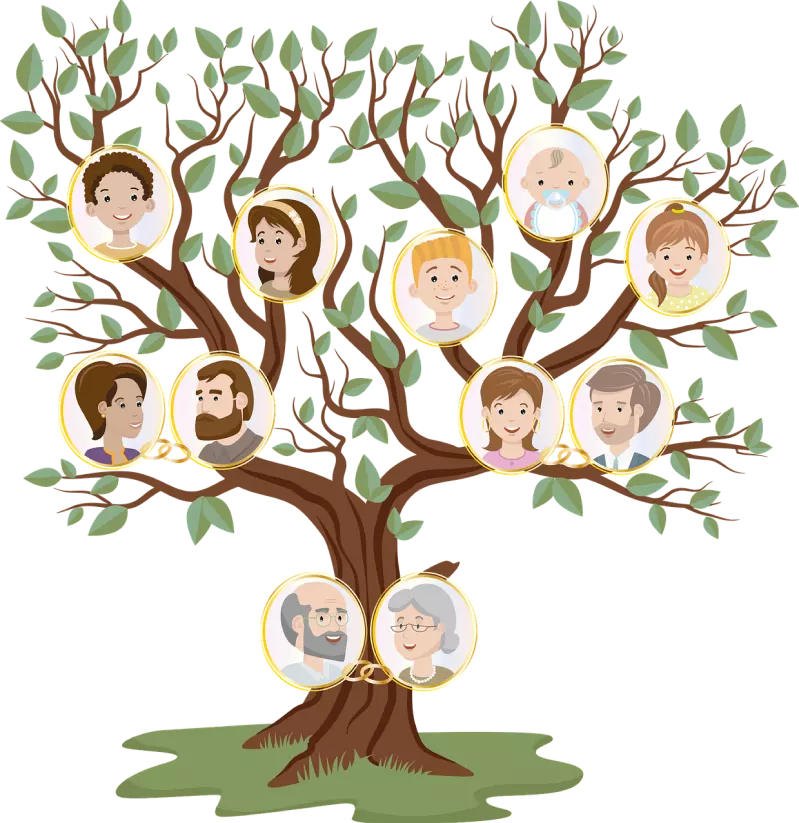 Как нарисовать семейное дерево быстро и легко: особенности составления и примеры оформления