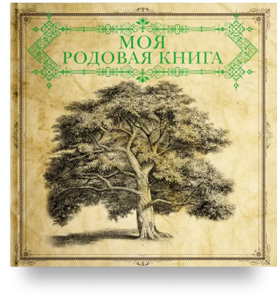 Моя родовая книга