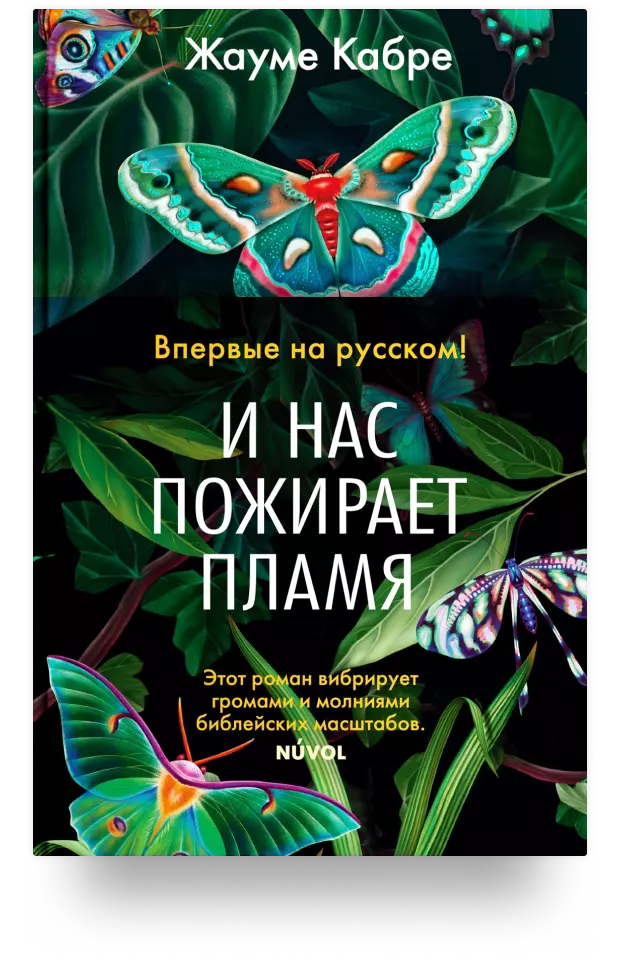 И нас пожирает пламя