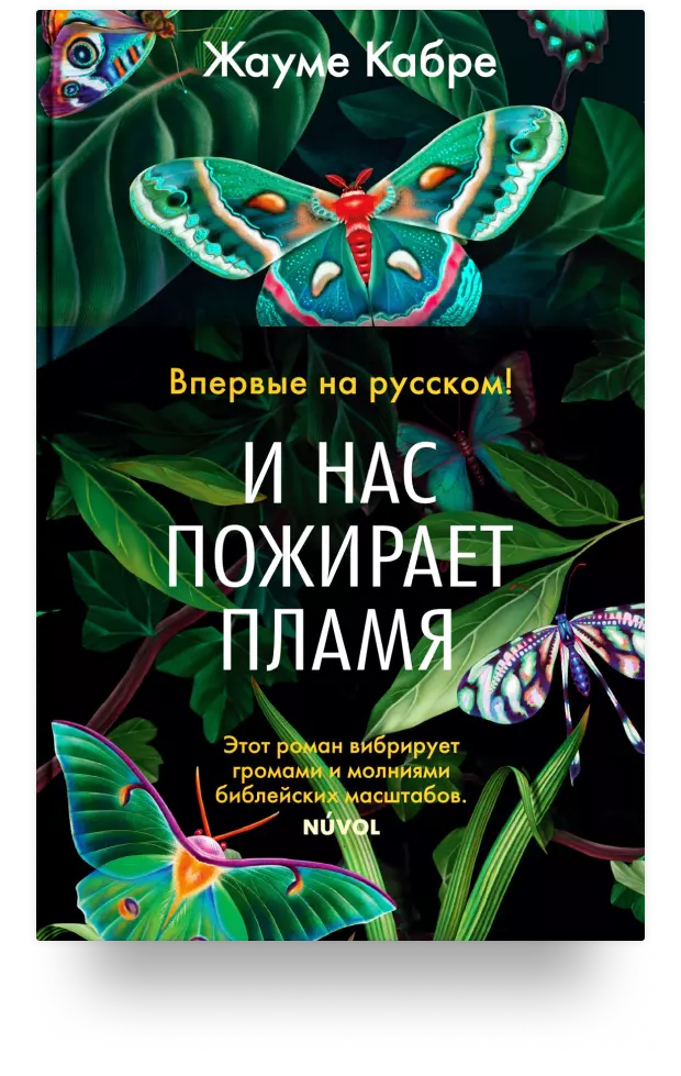 И нас пожирает пламя