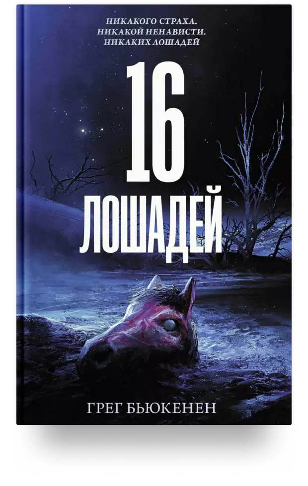 16 лошадей