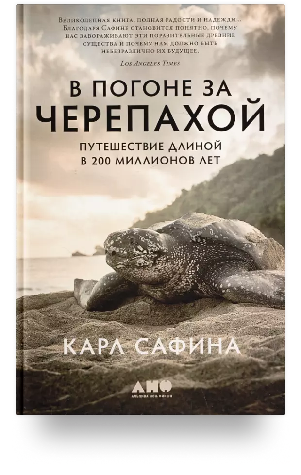 В погоне за черепахой: Путешествие длинной в 200 миллионов лет