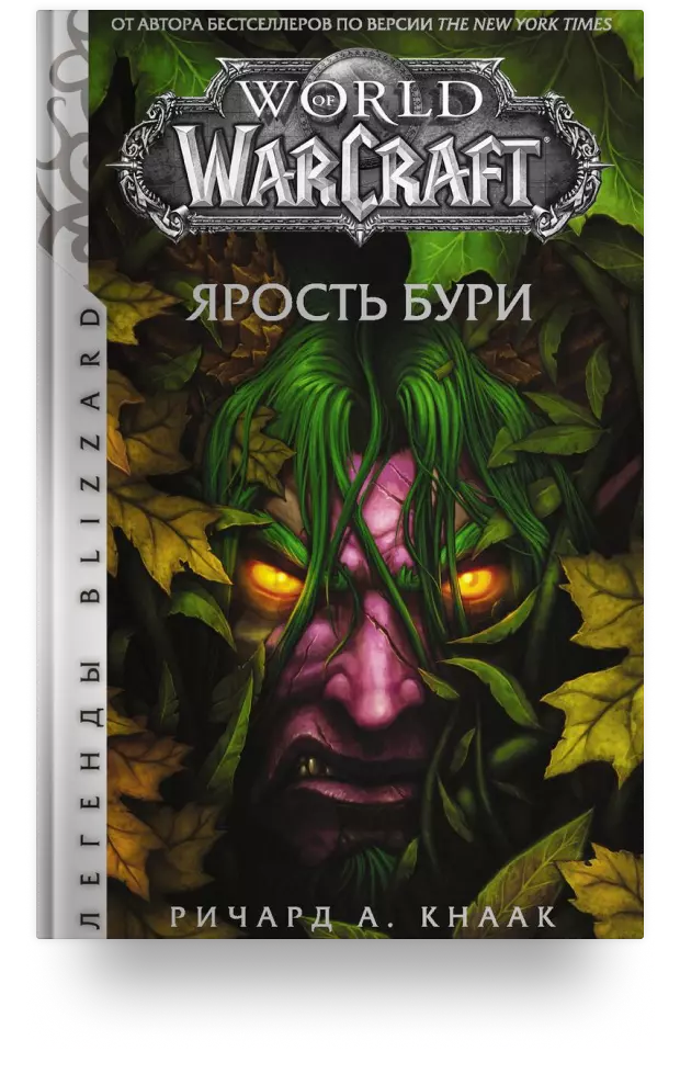 World of Warcraft: Ярость Бури