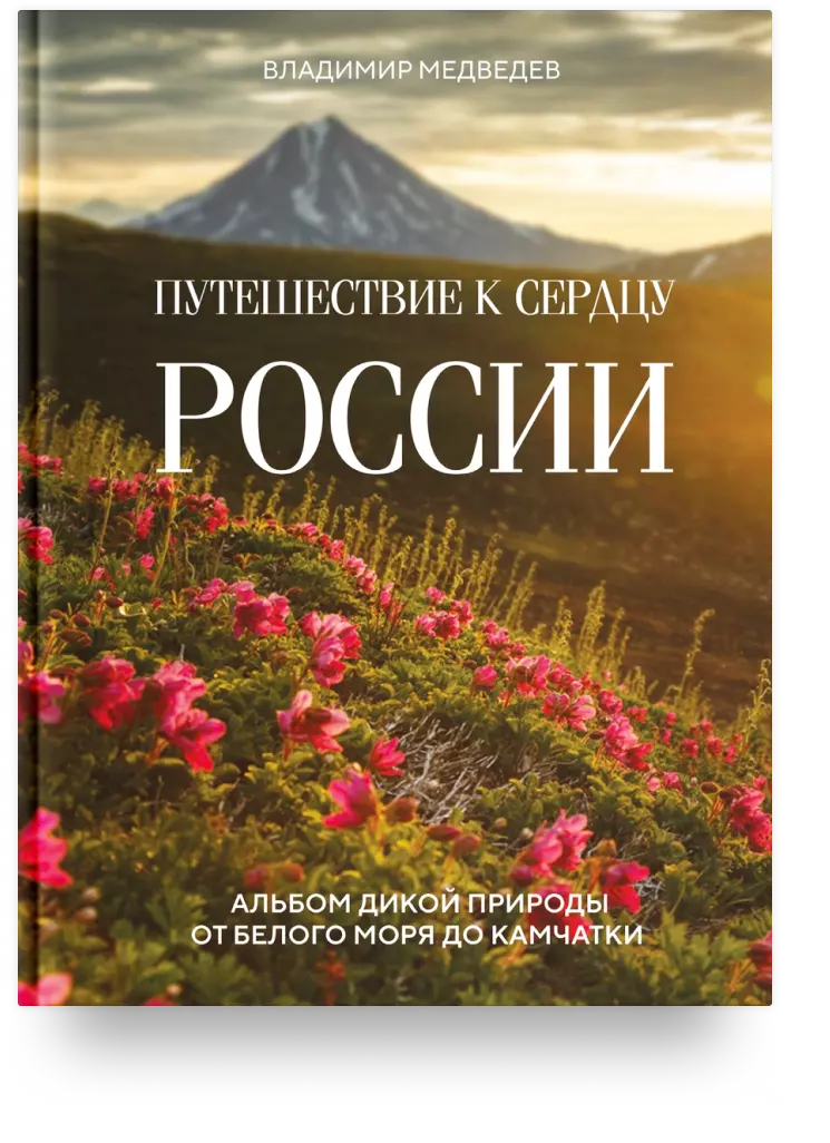 Путешествие к сердцу России. Альбом дикой природы от Белого моря до Камчатки