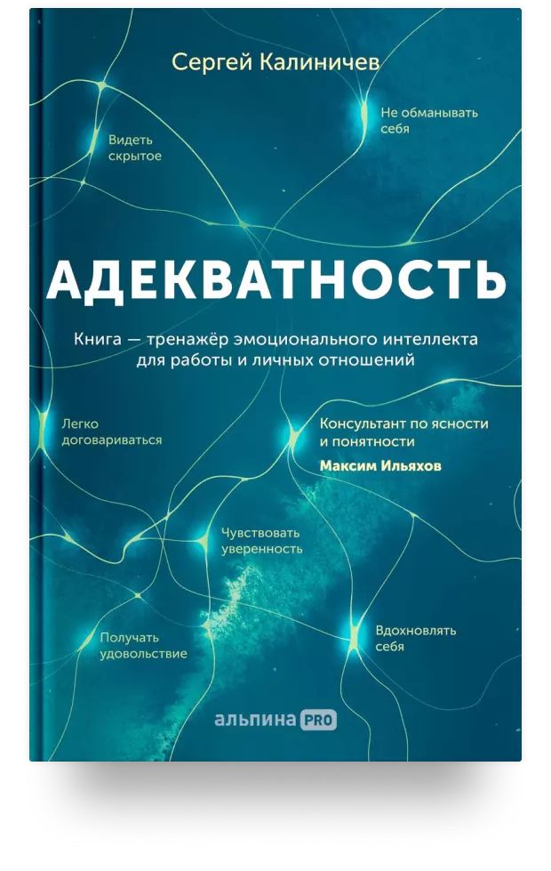 Адекватность. Как видеть суть происходящего, принимать хорошие решения и создавать результат без стресса