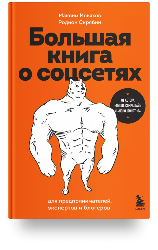 Большая книга о соцсетях