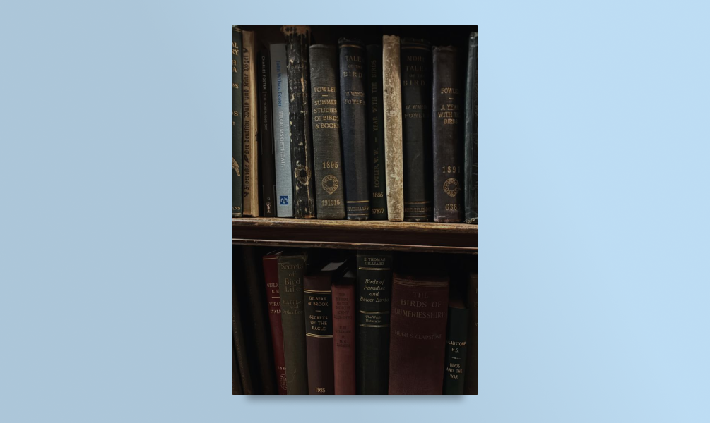 Полка с книгами