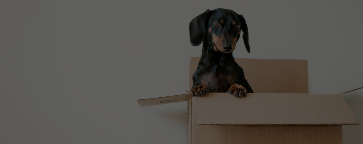 Лондон–Париж: 6 книг о переезде и эмиграции