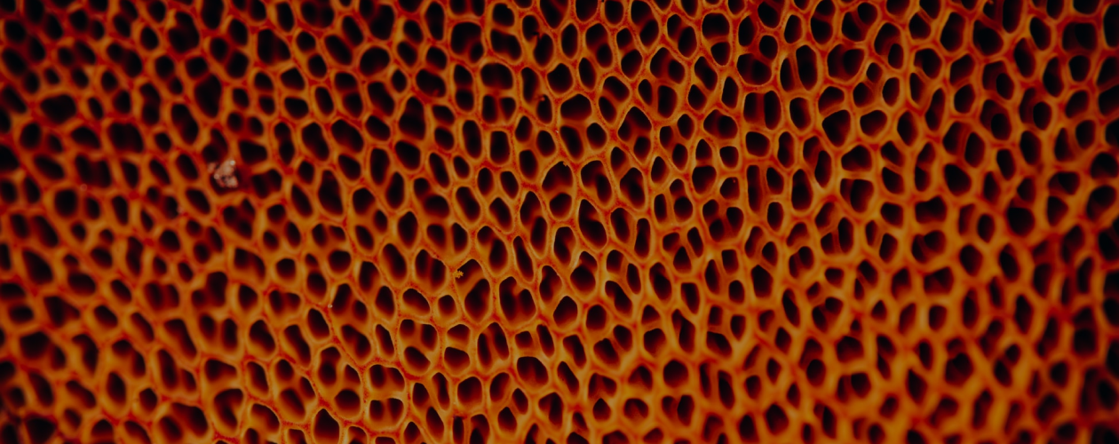 Противно, но интересно: 6 жутко неприятных книг