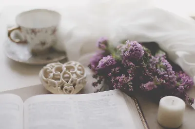 12 книг для тех, кто хочет перечитать классику