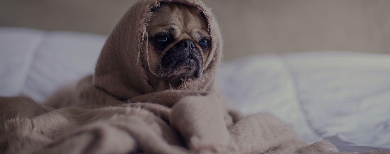 Я – всё: как справиться с эмоциональным выгоранием