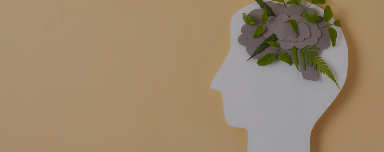 8 книг Илсе Санд, которые помогут вам разобраться в чувствах