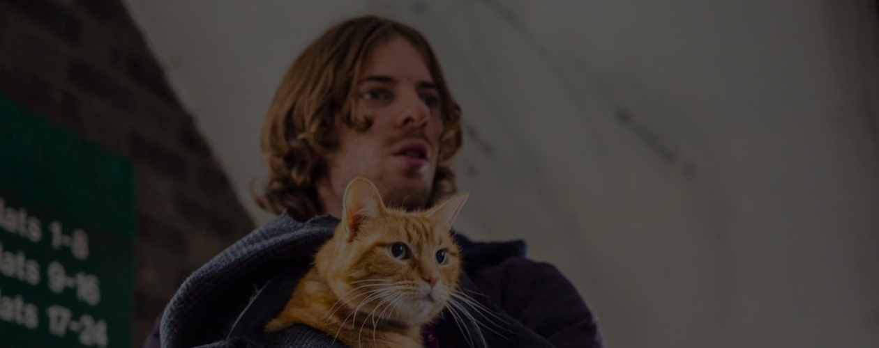 Без кота и жизнь не та: 10 книг с хвостатыми героями