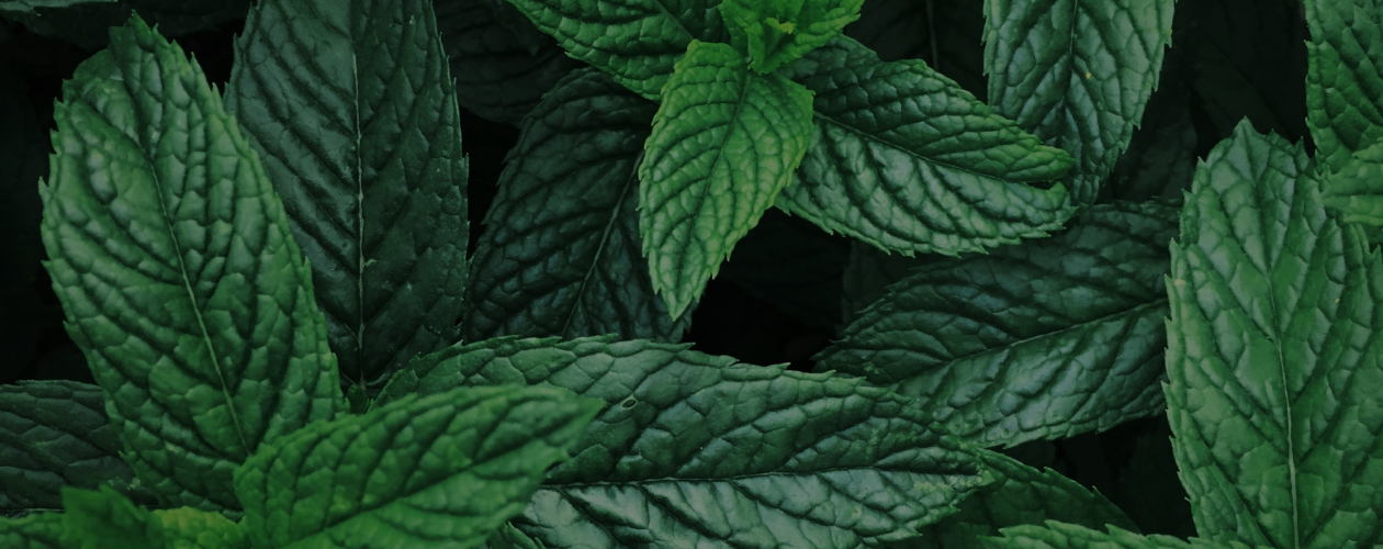 Магические свойства трав