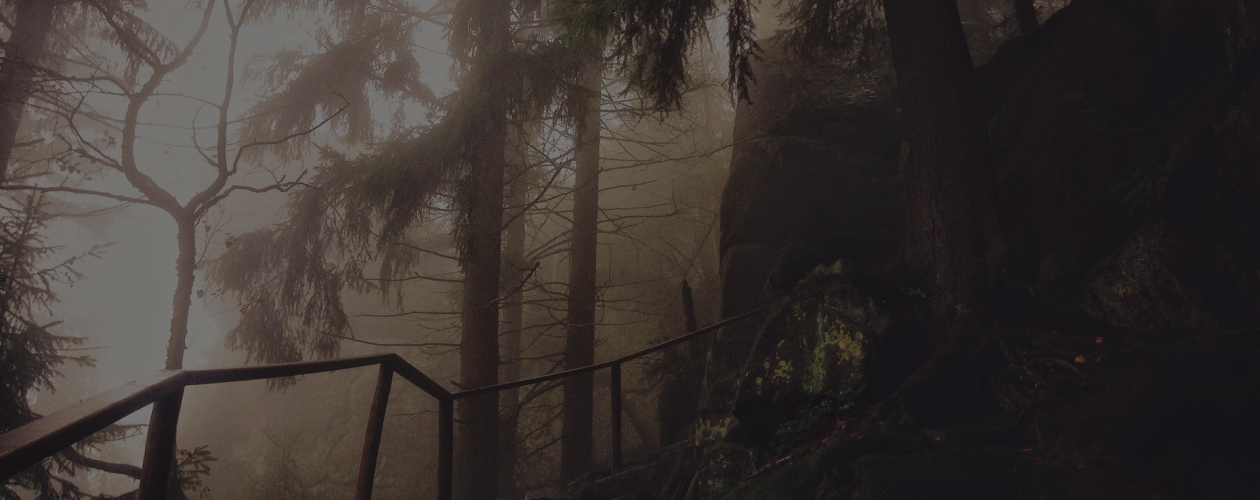 Любовь, миф и хоббиты: что нужно знать о Джоне Толкине