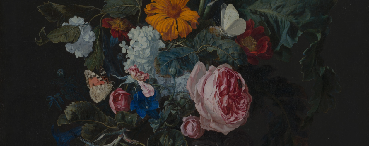 «Девы»: новая книга от автора «Безмолвного пациента»