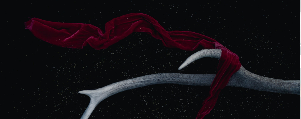 Жажда и желание: что почитать, если понравилась «Академия вампиров»