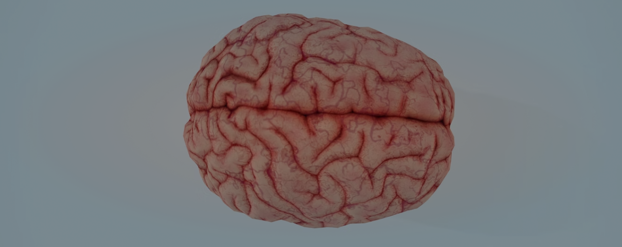 «KGBT+», «Обещание» и ещё 6 интеллектуальных бестселлеров этой осени