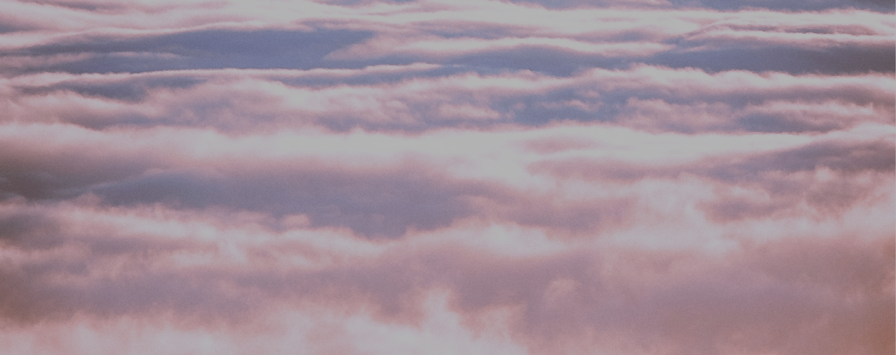 Что нового почитать в жанре Young Adult?