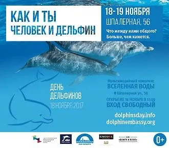 Как и ты. Человек и Дельфин