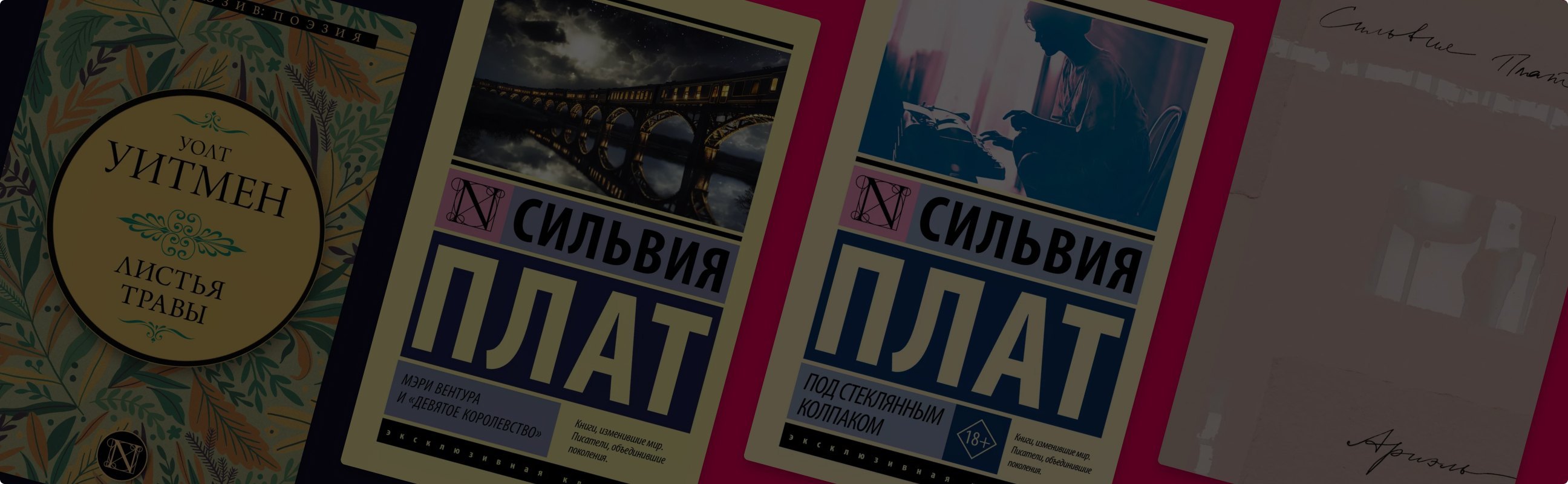 Творчество как личный дневник: исповедальная проза и поэзия Сильвии Плат