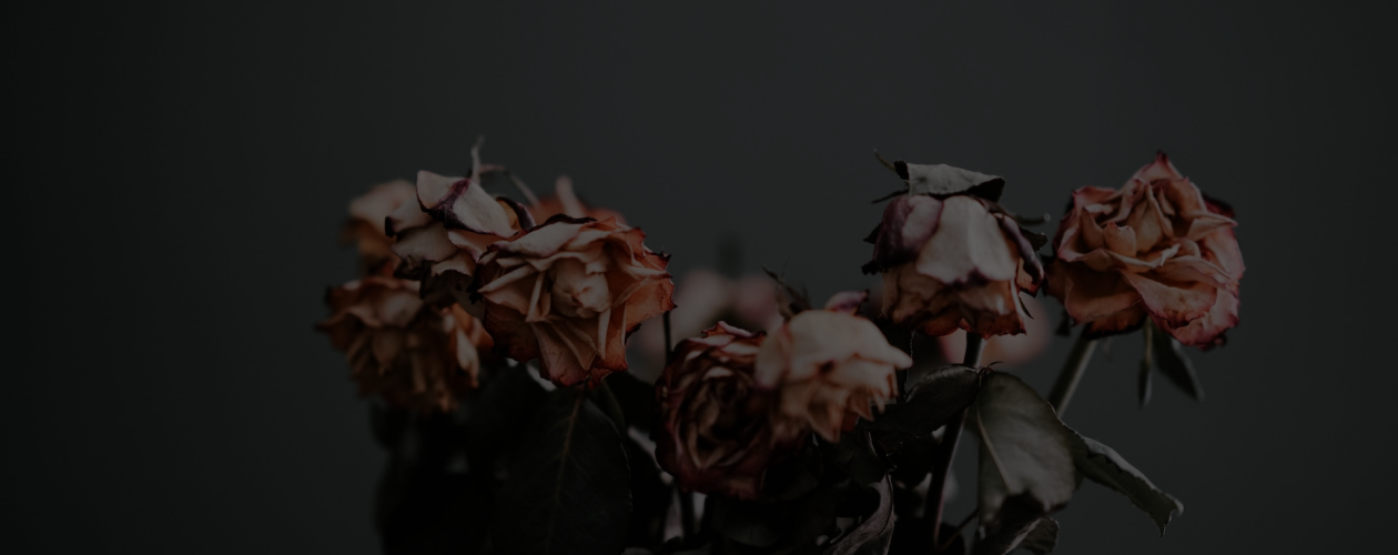 Настроение – плакать: 15 самых грустных книг