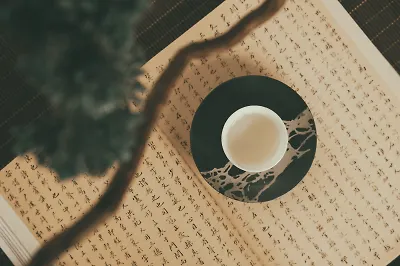 Война, шрамы и небожители: 12 книг китайских авторов