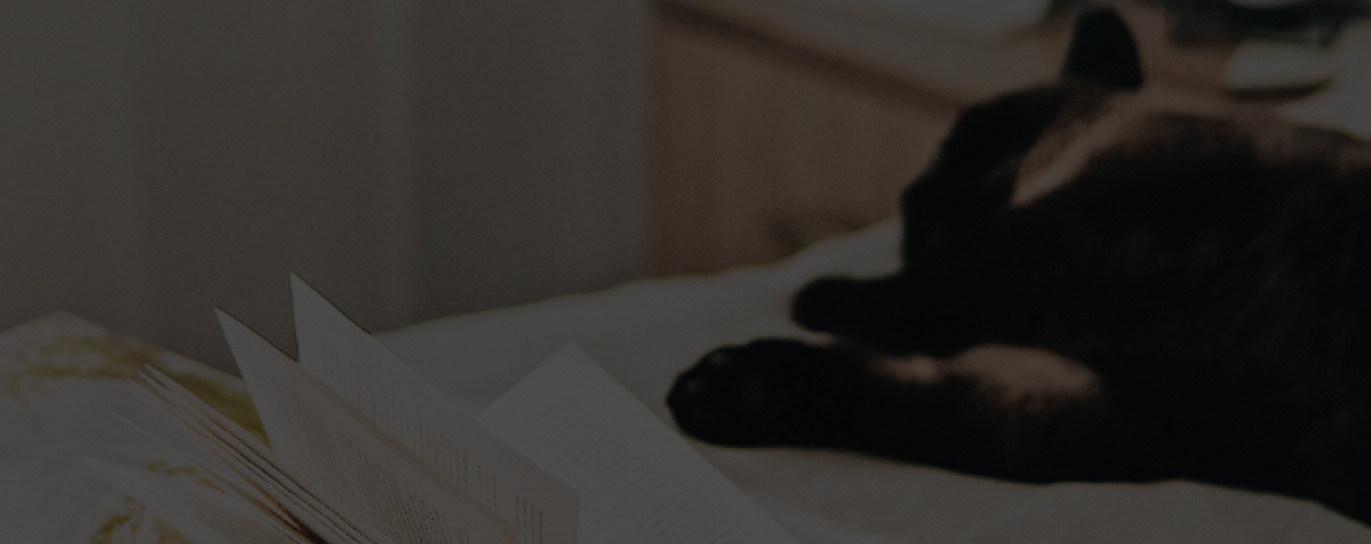 10 новых книг для длинных январских выходных