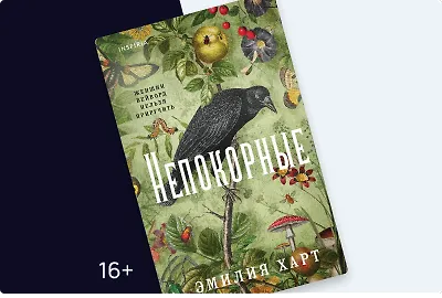 Смелый дебют, который стал бестселлером