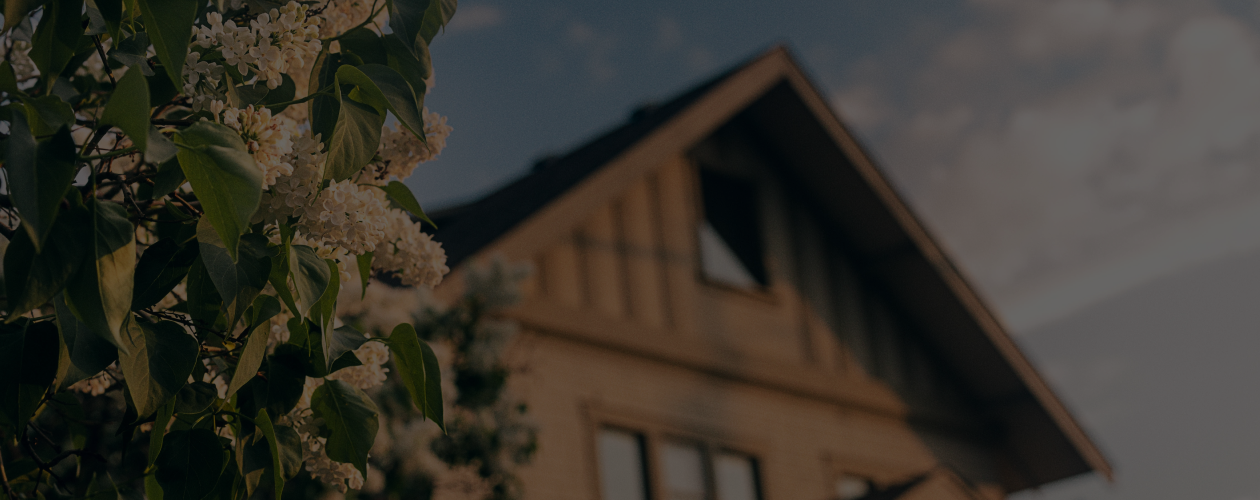 9 книг, чтобы почитать на даче