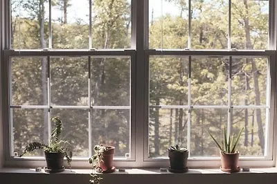 5 книг для влюблённых в растения