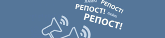 5 шикарных книг издательства «АСТ» с автографами авторов – в подарок за репост!