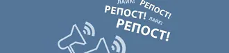 5 шикарных книг издательства «АСТ» с автографами авторов – в подарок за репост!
