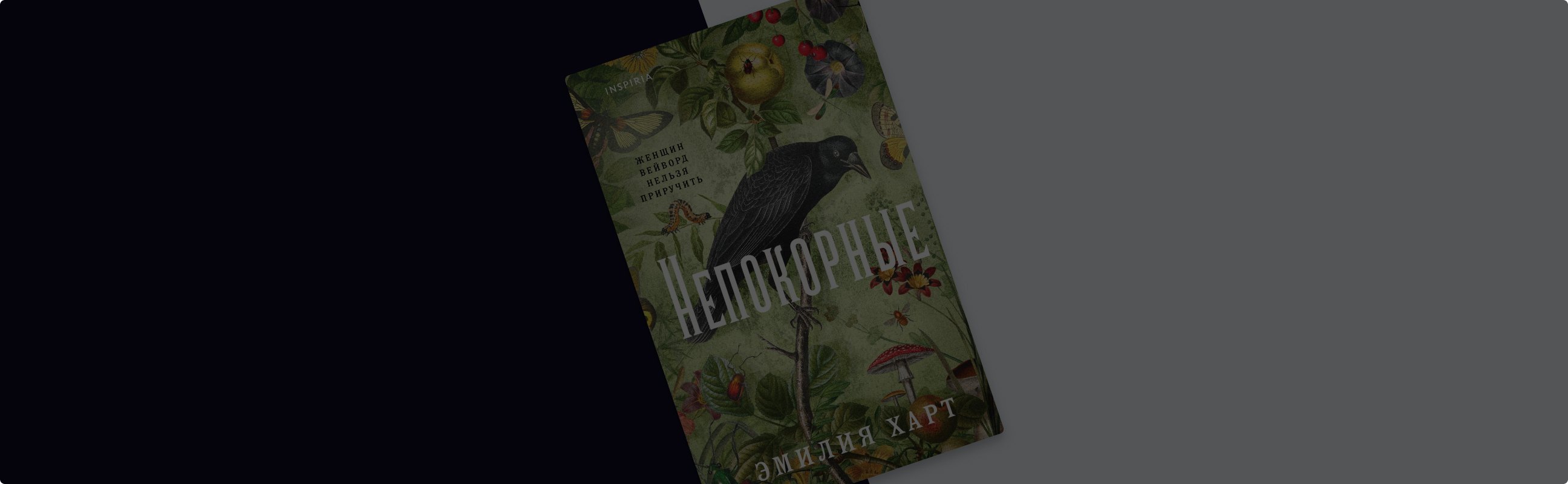 Смелый дебют, который стал бестселлером