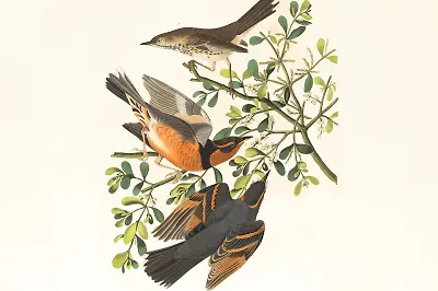 Ребятам о зверятах: 10 книг о животных